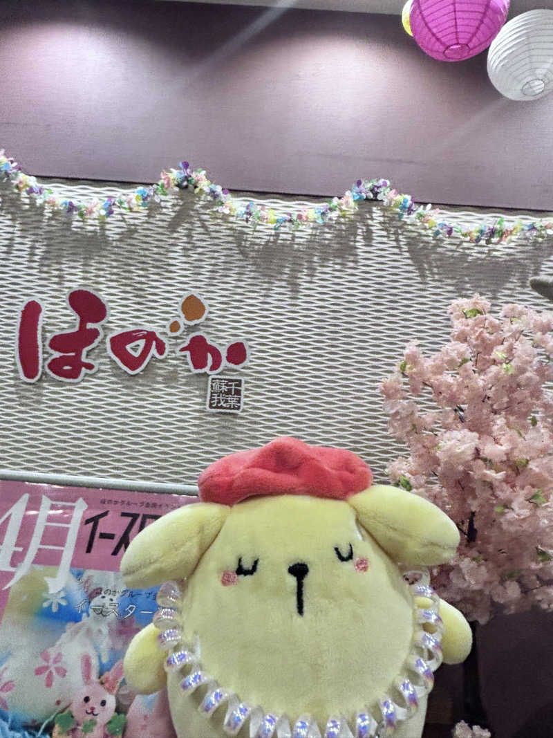 アダムスさんの湯の郷ほのか 蘇我店のサ活写真