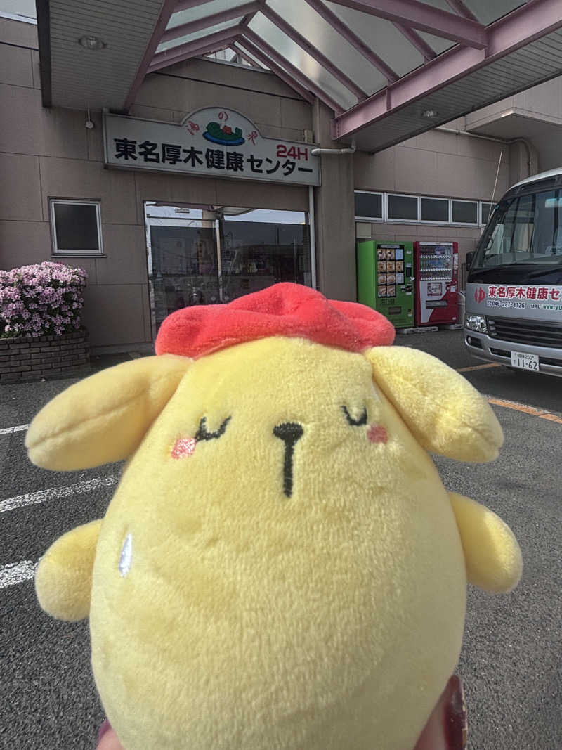 アダムスさんの湯乃泉 東名厚木健康センターのサ活写真