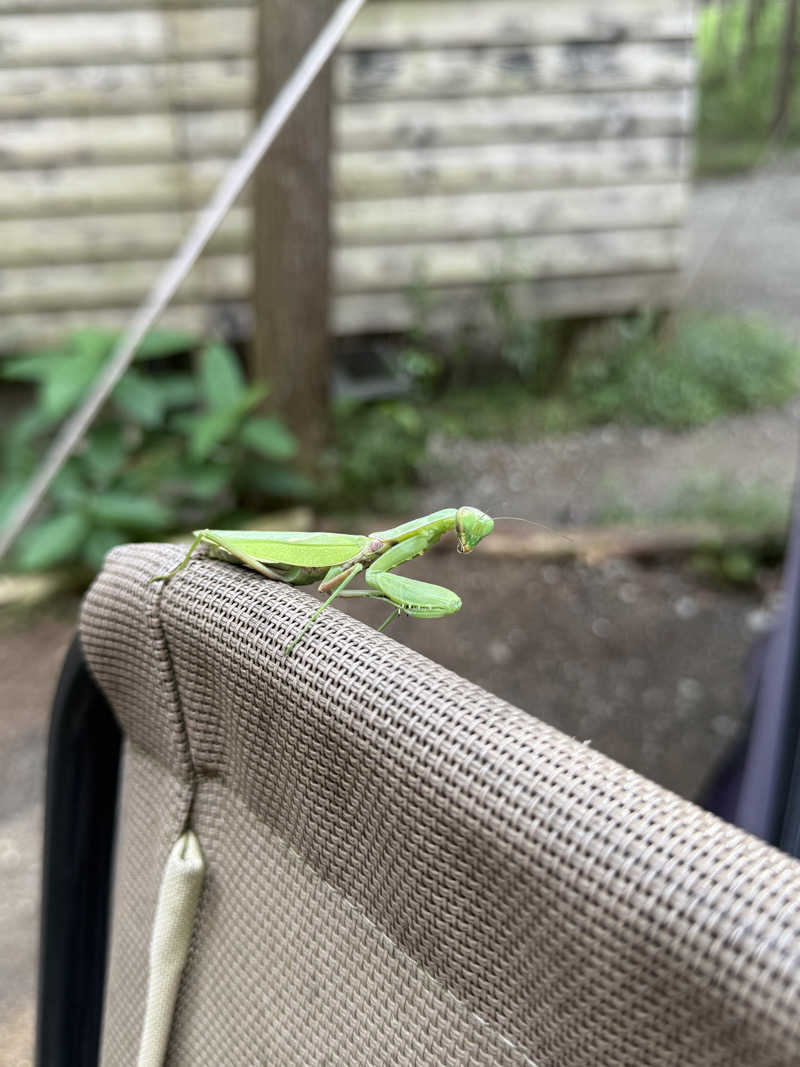 るるまろさんのCAMPAGE Private Saunaのサ活写真