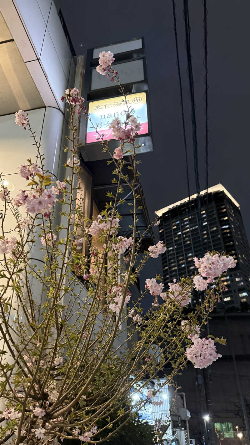 るるまろさんの文化浴泉のサ活写真