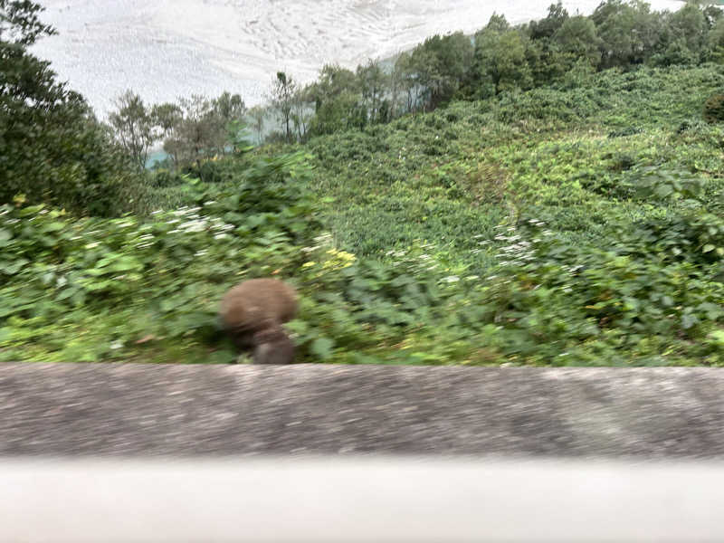 枝豆パンチョさんのスパ・アルプスのサ活写真