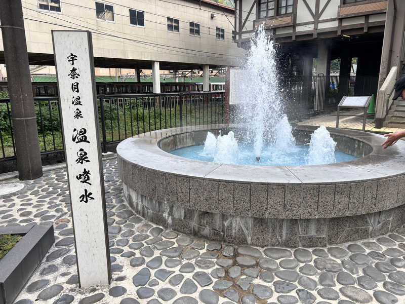 枝豆パンチョさんのスパ・アルプスのサ活写真