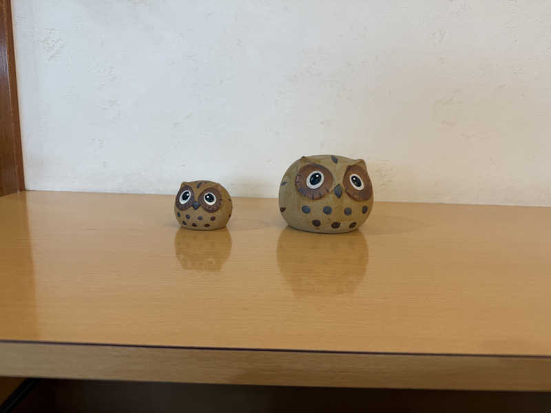 たみ🦈さんのふくろうの湯のサ活写真