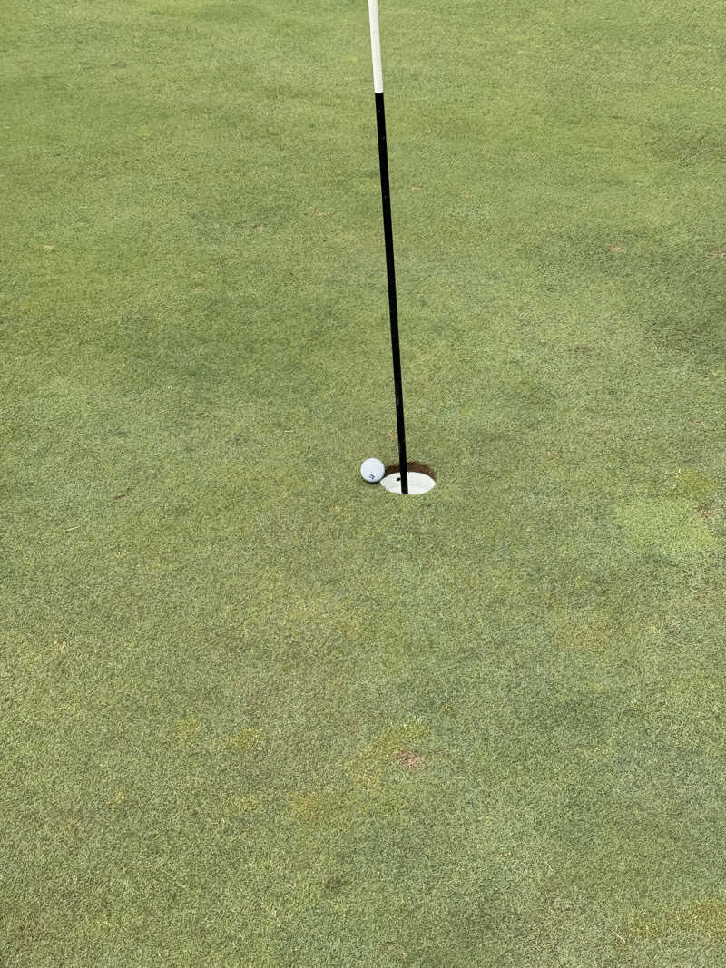 Tonnelatさんのコナミスポーツクラブ 本店西宮アネックスのサ活写真