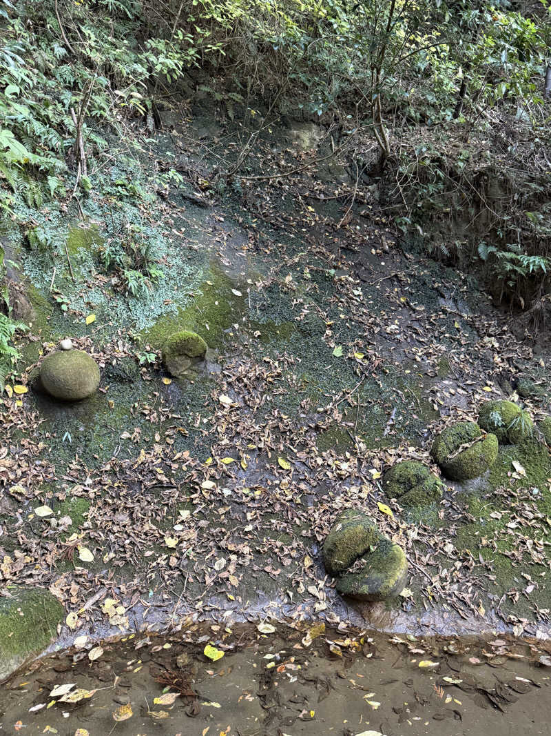 ぽんちりさんのさがら子生れ温泉会館のサ活写真