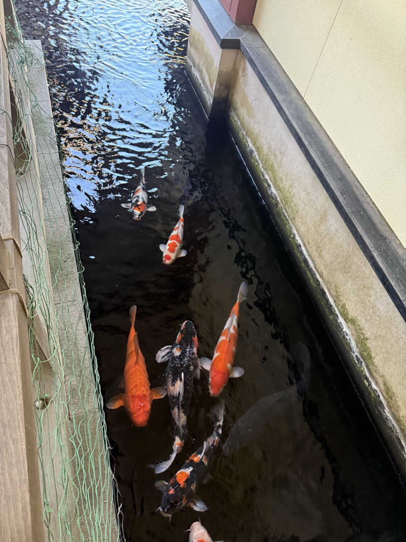 ぽんちりさんの遠州 みなみの湯のサ活写真