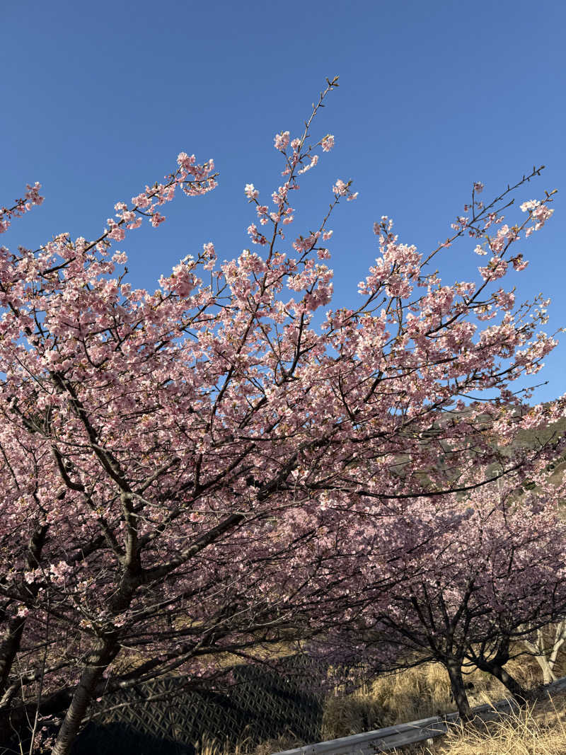 ぽんちりさんの西伊豆 クリスタルビューホテルのサ活写真