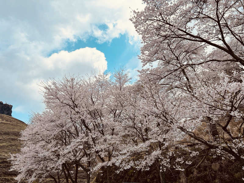 たぁさんのハコサウナのサ活写真