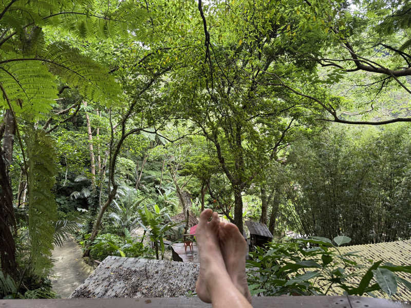 shigeshimizuさんの亜熱帯サウナのサ活写真