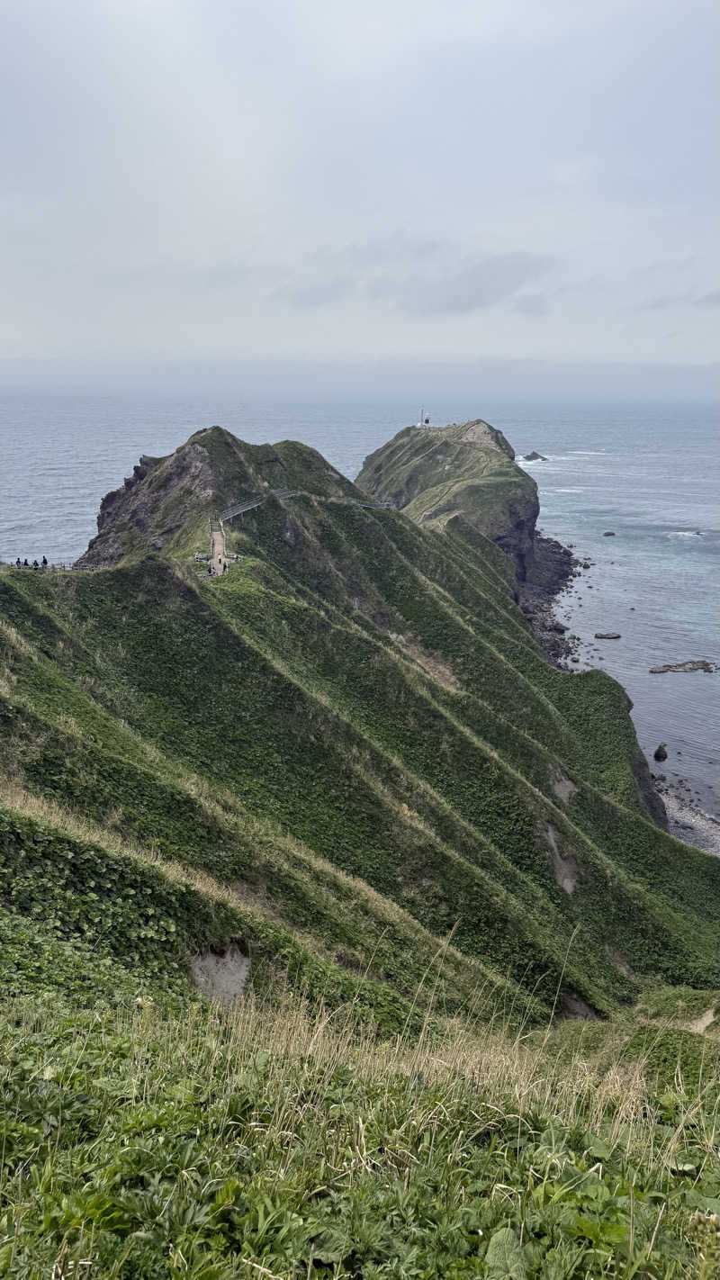 shigeshimizuさんの岬の湯 しゃこたんのサ活写真
