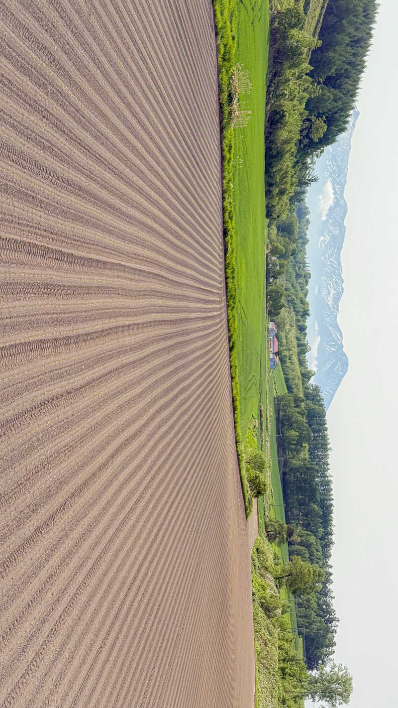 shigeshimizuさんのOMO7旭川(おも) by 星野リゾート サウナプラトーのサ活写真