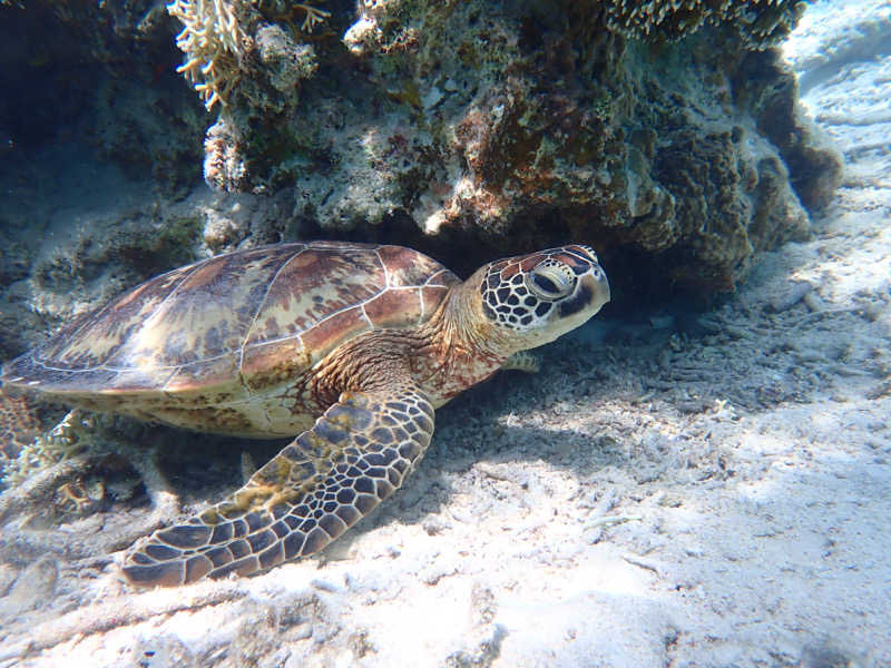 shigeshimizuさんのザ・センチュリオンサウナレスト&ステイ札幌のサ活写真