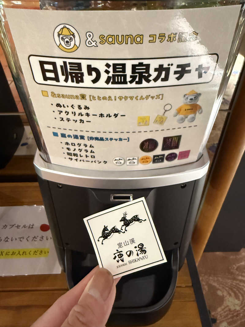 shigeshimizuさんの定山渓 鹿の湯のサ活写真