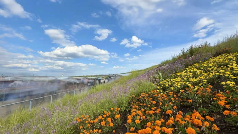 shigeshimizuさんの大阪・関西万博 万博サウナ「太陽のつぼみ」のサ活写真