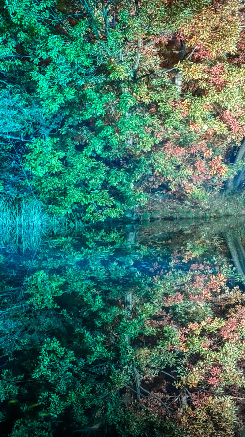 shigeshimizuさんのザ・センチュリオンサウナレスト&ステイ札幌のサ活写真