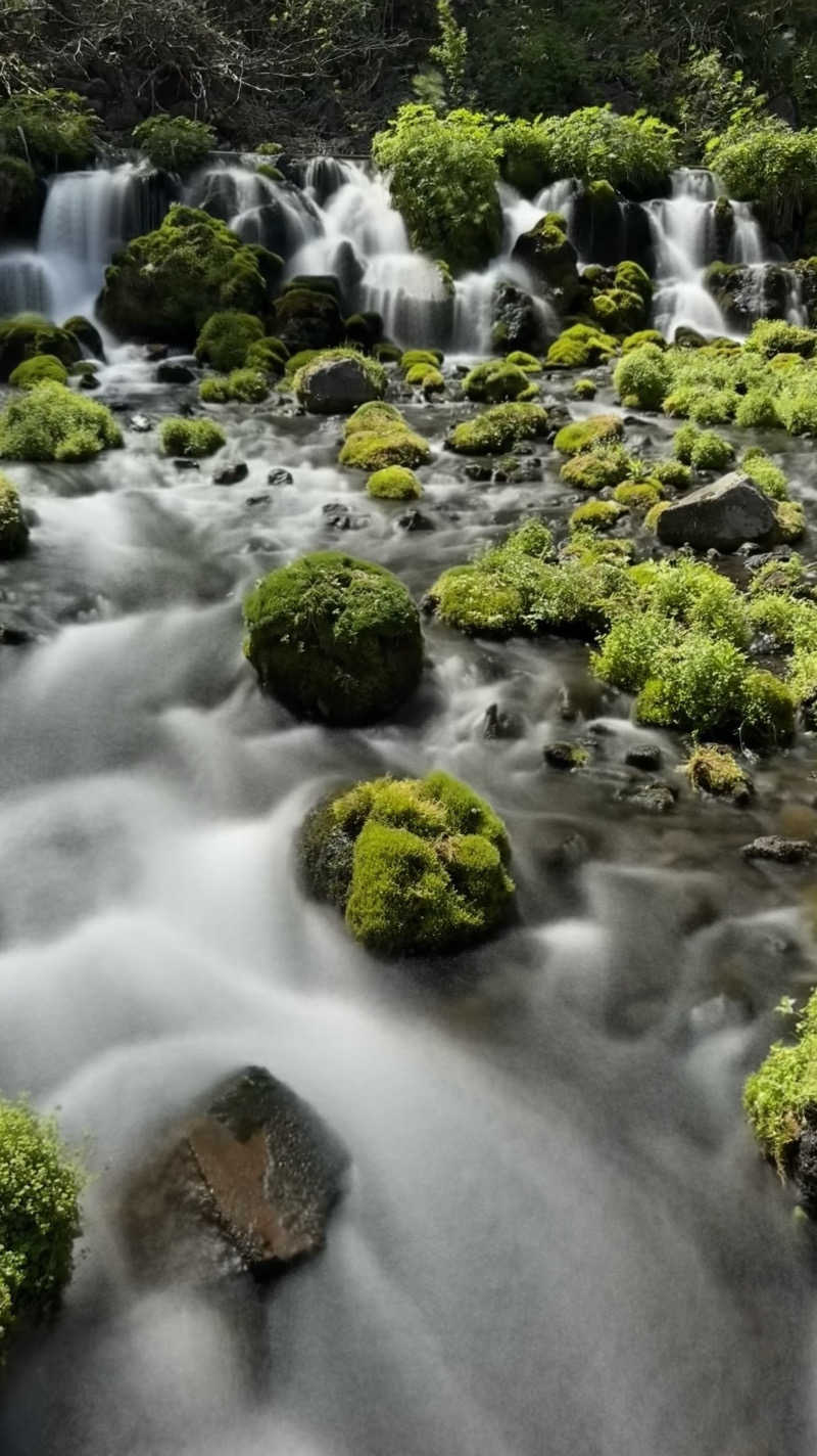 shigeshimizuさんの定山渓 鹿の湯のサ活写真