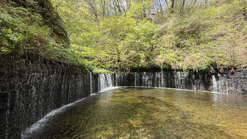 shigeshimizuさんの星野温泉 トンボの湯のサ活写真