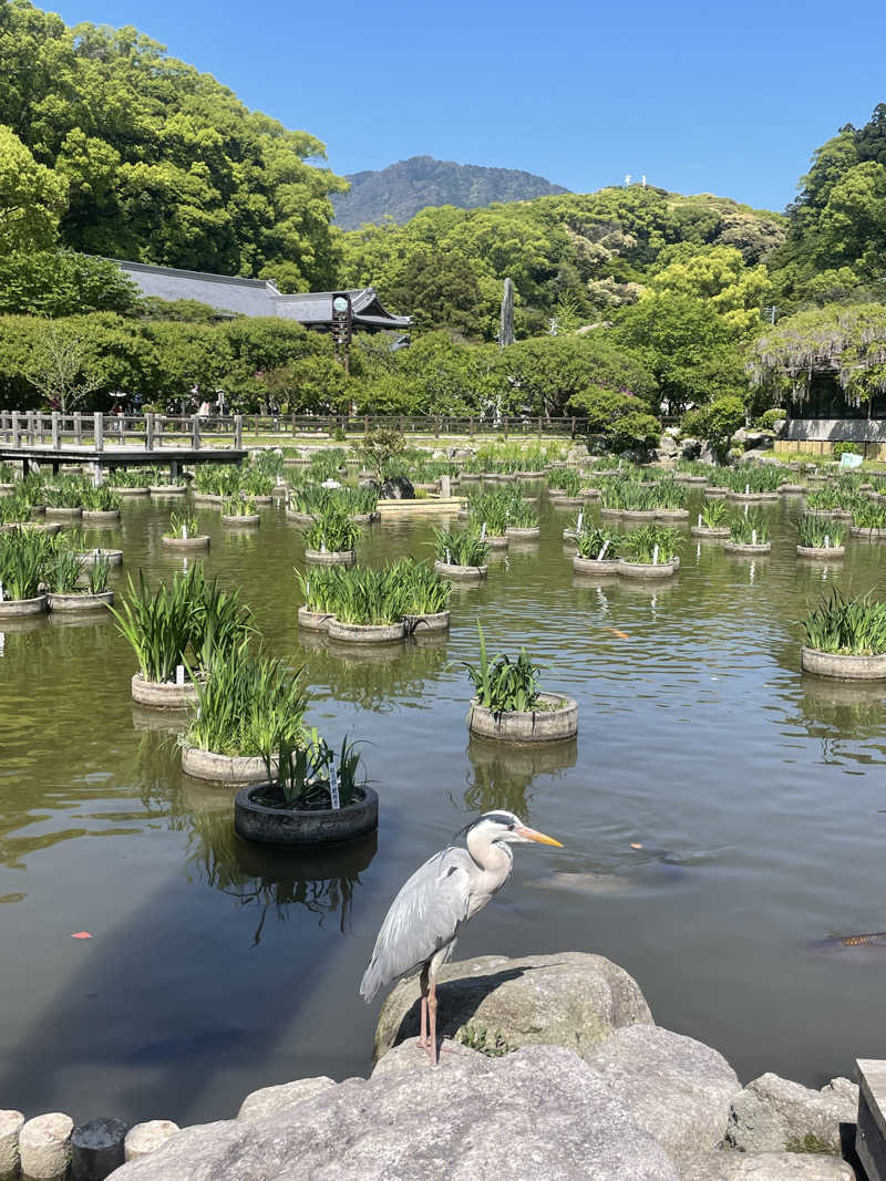 monさんの筑紫野 天拝の郷のサ活写真