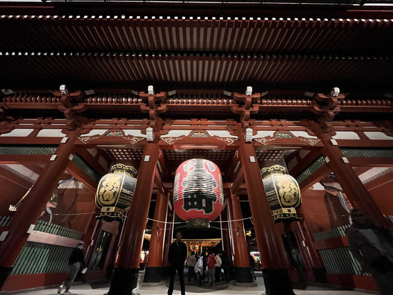 三浦ネロリさんの天然温泉 凌天の湯 御宿 野乃浅草別邸のサ活写真