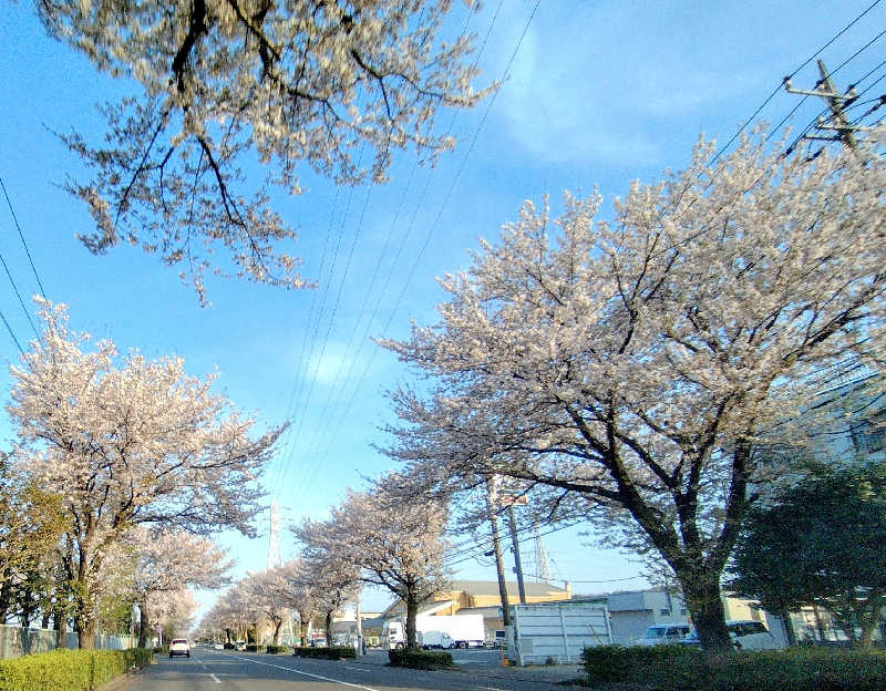 みみみさんのととのいの郷 秦野湯花楽のサ活写真