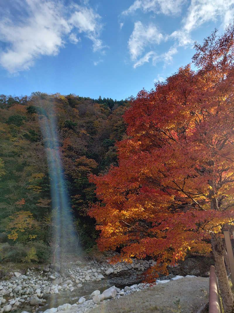 みみみさんのかくれ湯の里 信玄館のサ活写真