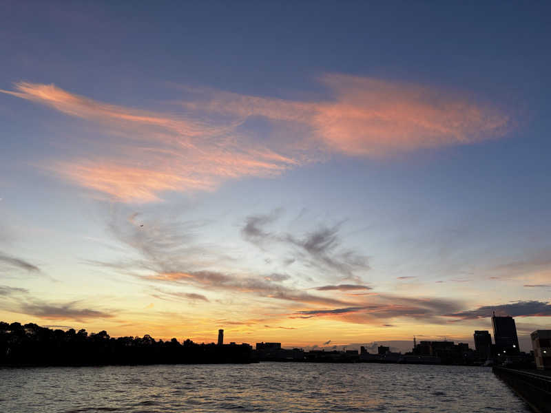 リュウスケさんの湯の郷ほのか 蘇我店のサ活写真