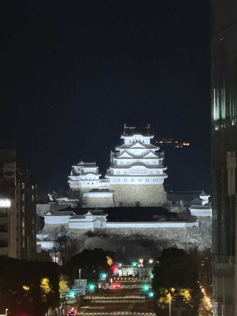 Makoto  Watanabeさんの白鷺の湯 ドーミーイン姫路のサ活写真