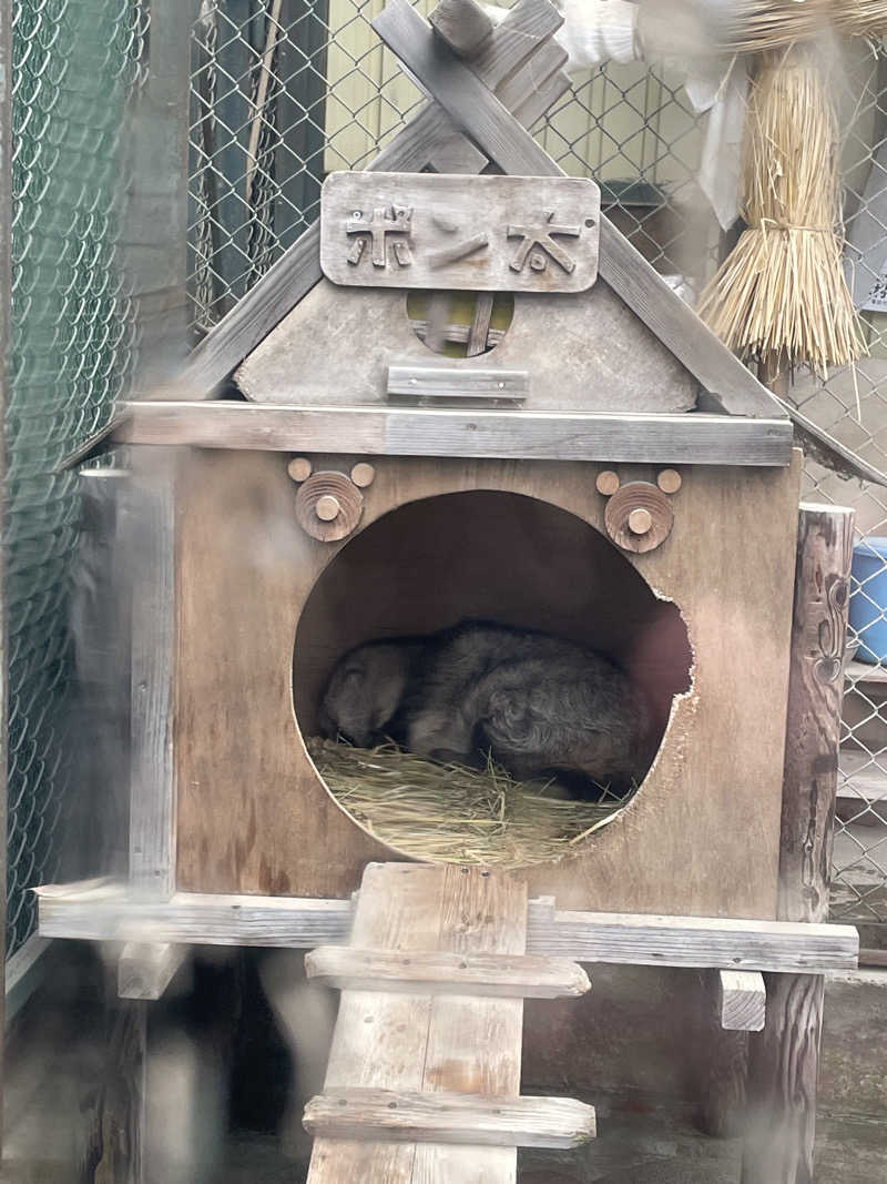ねこまんまさんの湯元 花の湯のサ活写真