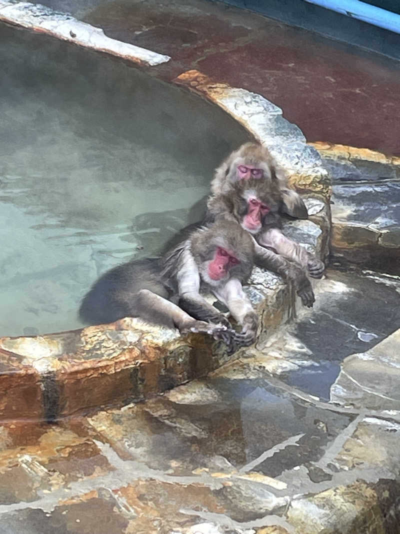 ねこまんまさんの花びしホテルのサ活写真