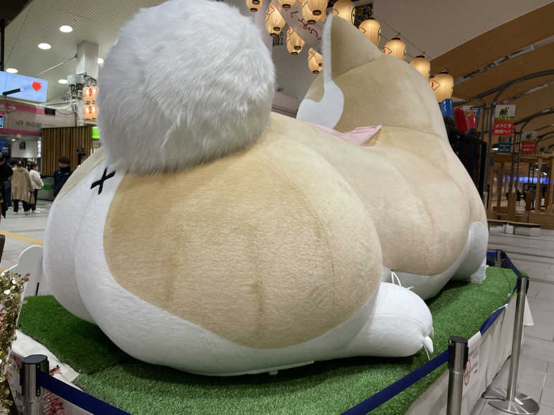 ねこまんまさんの中通温泉こまちの湯 ドーミーイン秋田のサ活写真