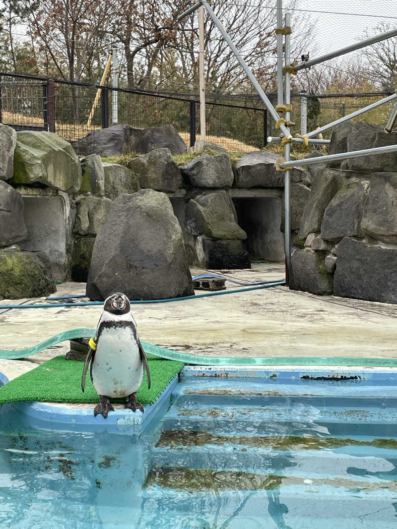 ねこまんまさんの中通温泉こまちの湯 ドーミーイン秋田のサ活写真