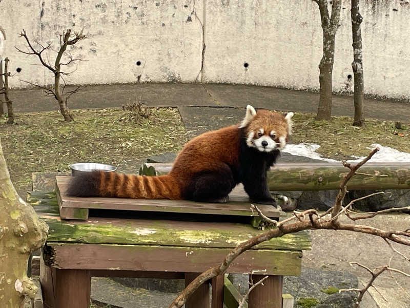 ねこまんまさんの中通温泉こまちの湯 ドーミーイン秋田のサ活写真