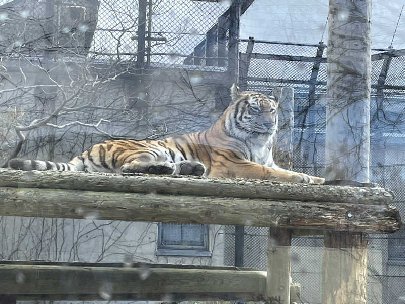 ねこまんまさんの中通温泉こまちの湯 ドーミーイン秋田のサ活写真