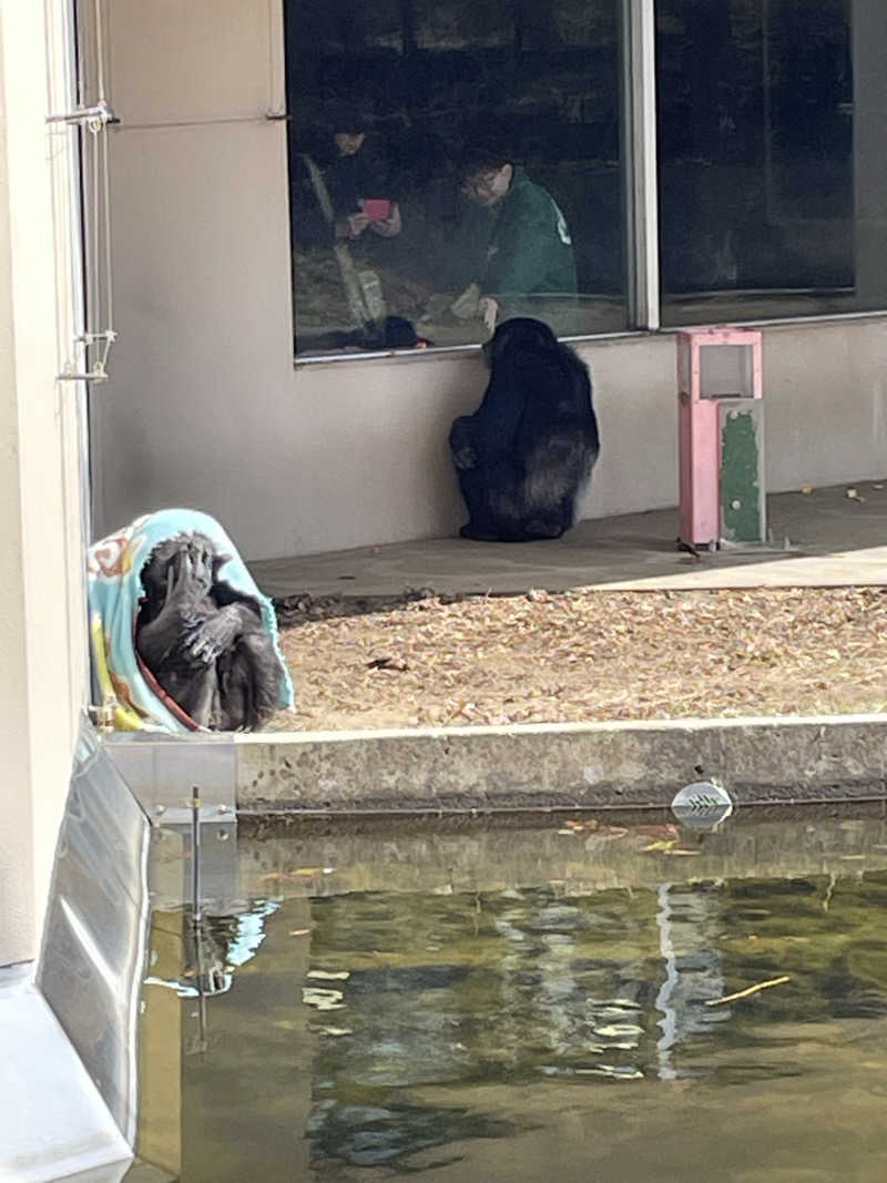 ねこまんまさんの中通温泉こまちの湯 ドーミーイン秋田のサ活写真