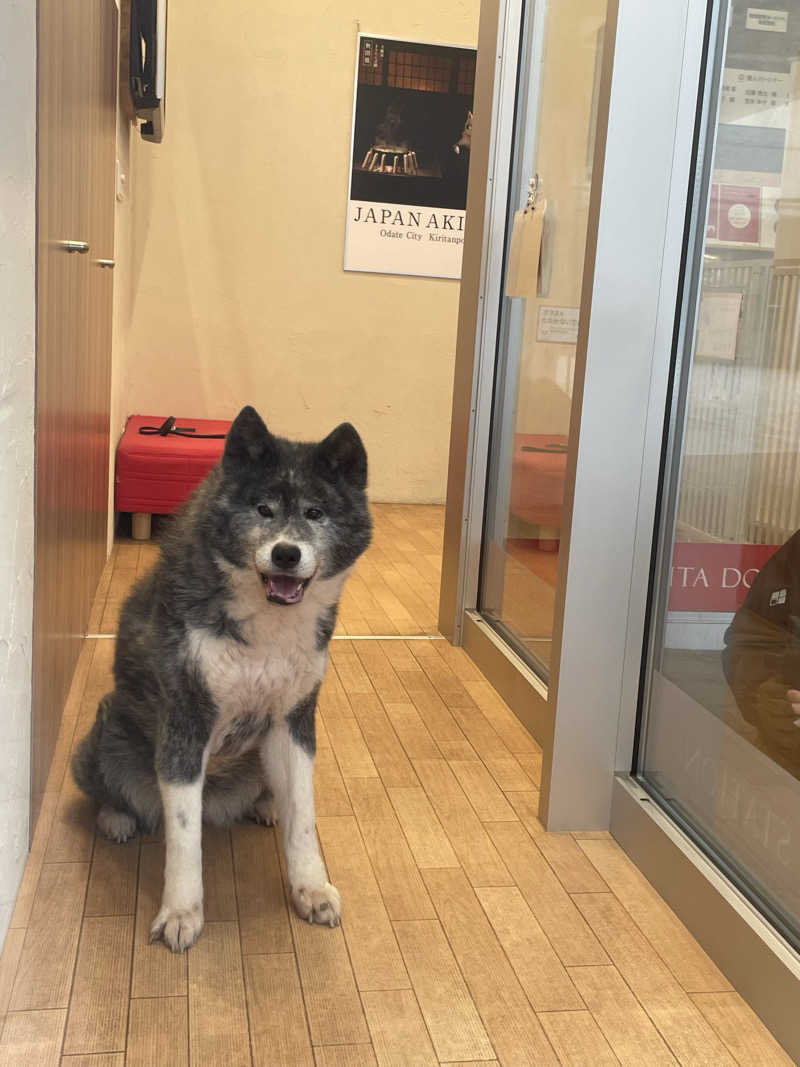 ねこまんまさんの中通温泉こまちの湯 ドーミーイン秋田のサ活写真