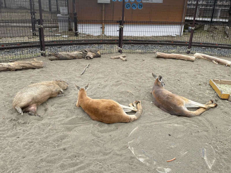 ねこまんまさんのCOCOFURO かが浴場のサ活写真