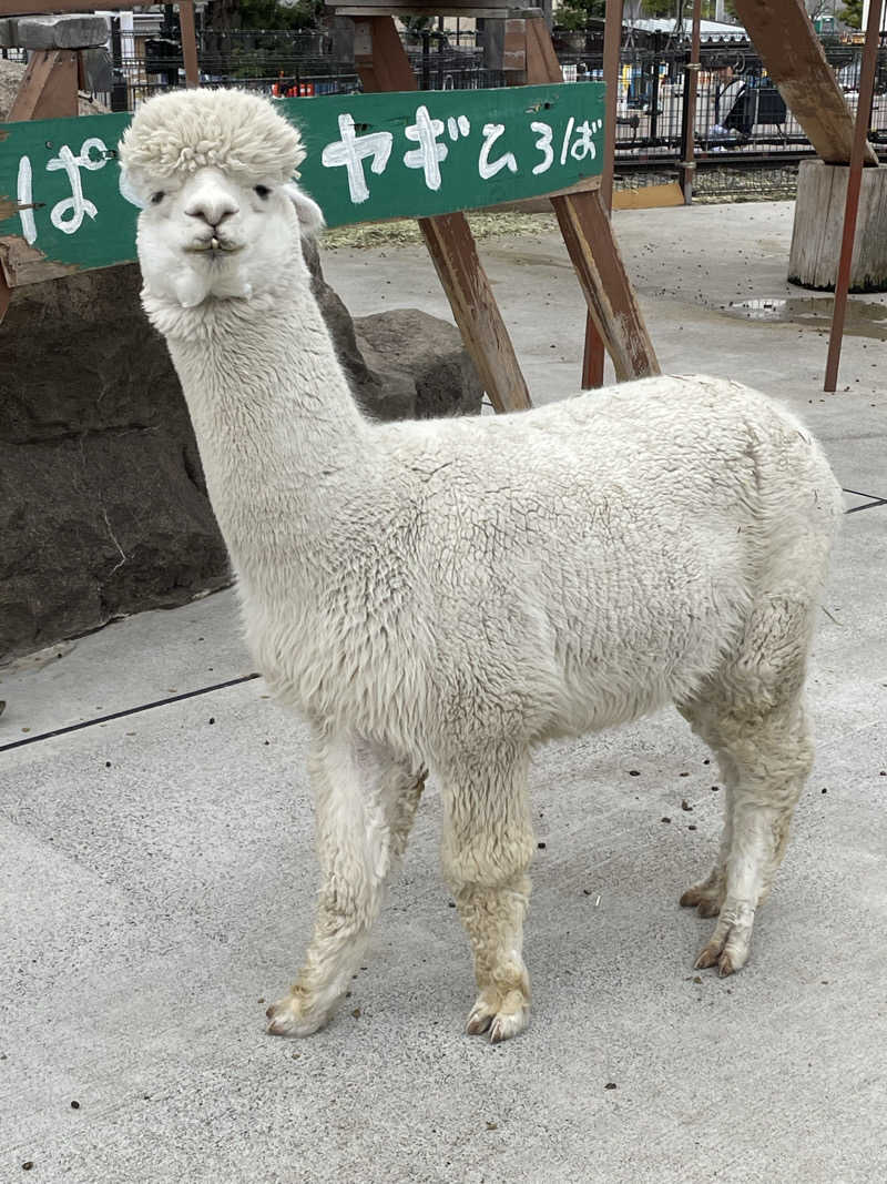 ねこまんまさんのCOCOFURO かが浴場のサ活写真