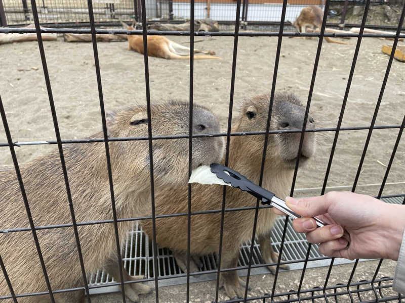 ねこまんまさんのCOCOFURO かが浴場のサ活写真