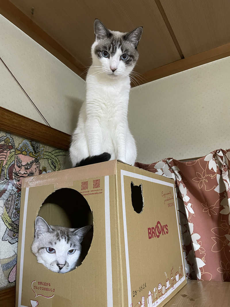 ねこまんまさんのつがる地球村温泉のサ活写真
