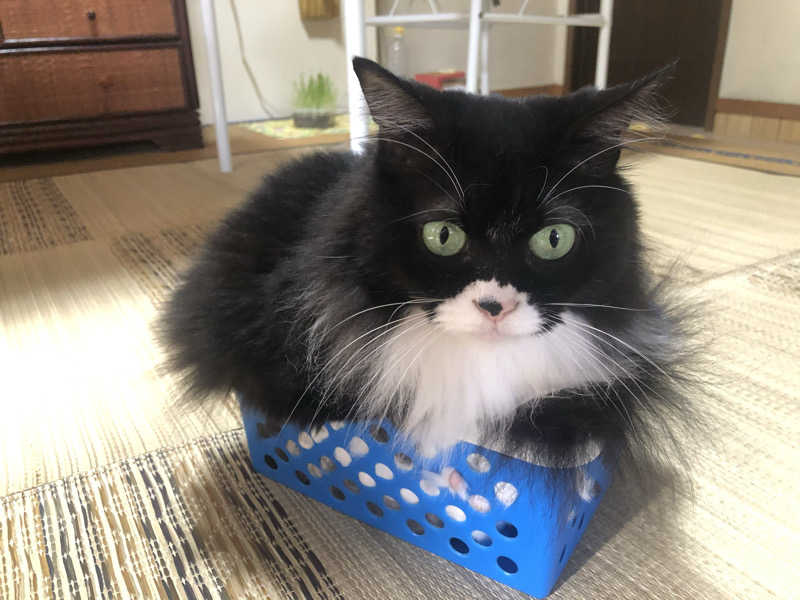 ねこまんまさんのつがる地球村温泉のサ活写真