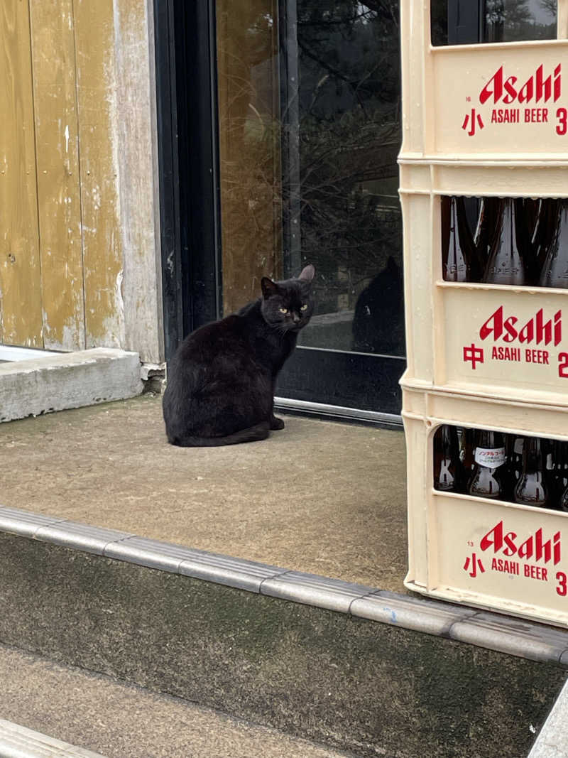 ねこまんまさんの五所川原市健康増進施設 にこにこ温泉しうらのサ活写真