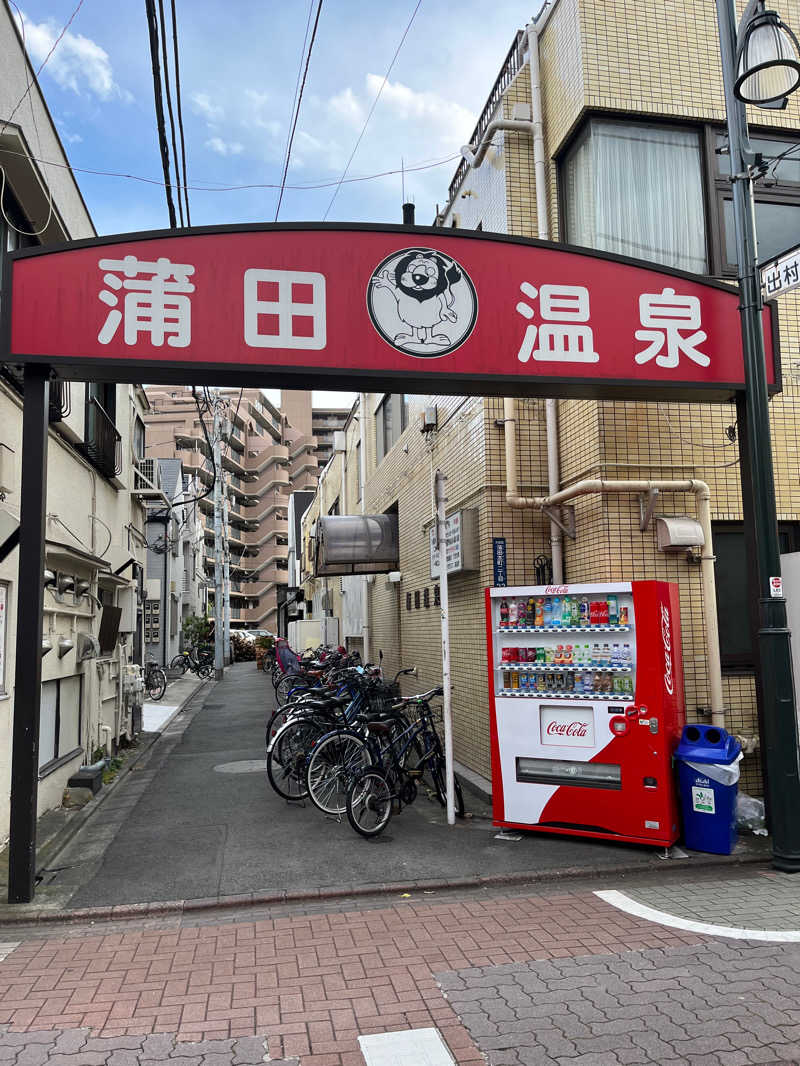 lapisさんの蒲田温泉のサ活写真