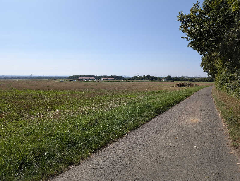 yasuさんのRhein-Main-Therme GmbH & Co.KGのサ活写真