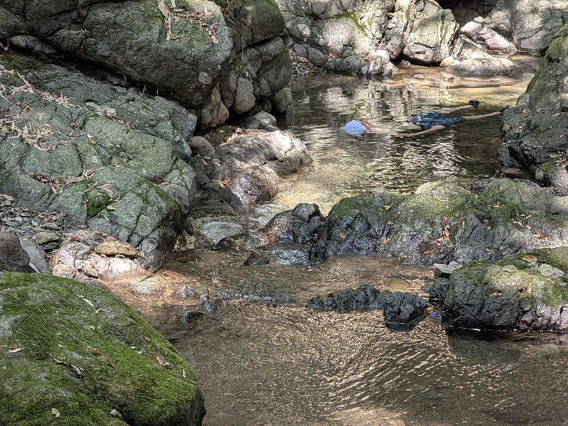 yasuさんの深澤渓 自然人村のサ活写真