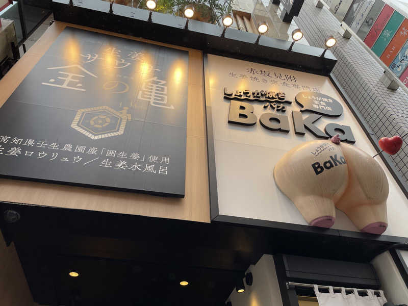 けんてぃさんの生姜サウナ「金の亀」のサ活写真