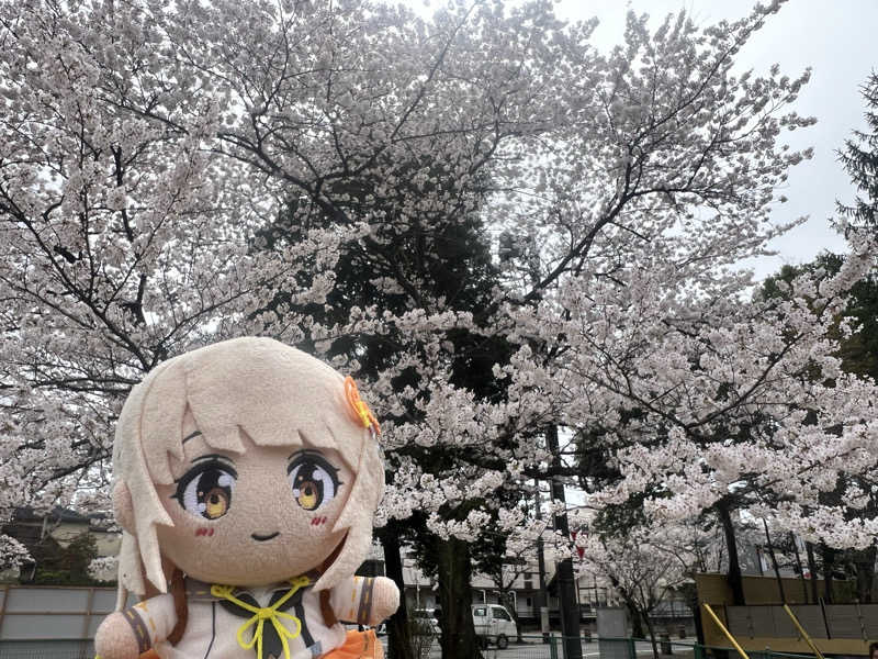 もく♨︎さんのさぷらすのサ活写真