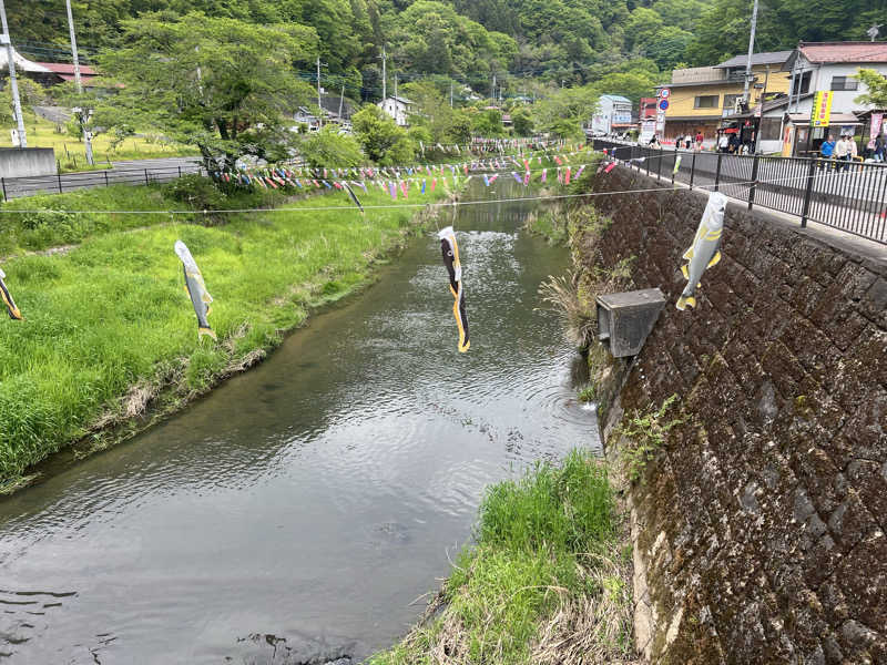 もく♨︎さんの大子温泉保養センター 森林の温泉のサ活写真
