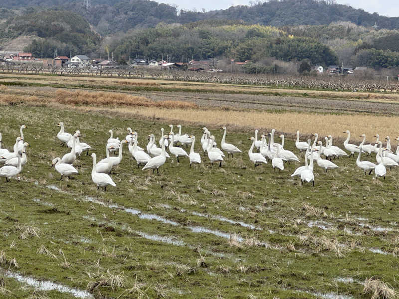 Saqalatさんの岸本温泉ゆうあいパル(パルプラスオン)のサ活写真