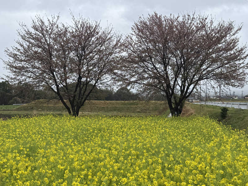 Saqalatさんの岸本温泉ゆうあいパル(パルプラスオン)のサ活写真