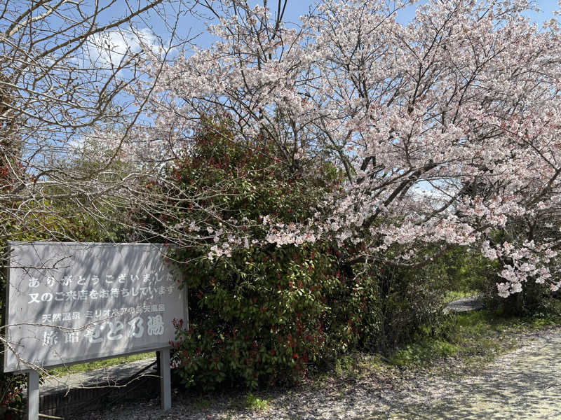 なおこさんのせと乃湯のサ活写真